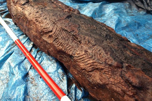  Decorative wood carving found in Maerdy is believed to be one of the oldest ever recovered in Europe as it dates back 6,270 years.Source:Wales Online