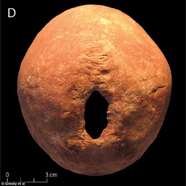 Ancient surgeons in southwest Russia drilled holes in the back of people's skulls Source:Gresky Et Al