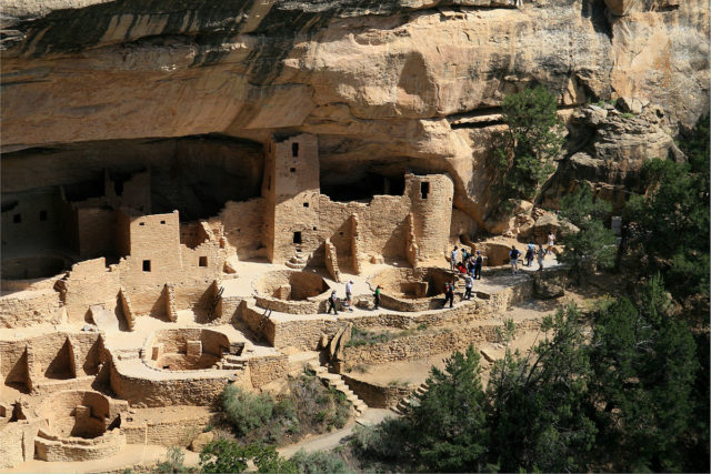 Cliff Palace was first discovered in 1888 by Richard Wetherill and Charlie Mason while out looking for stray cattle. Source