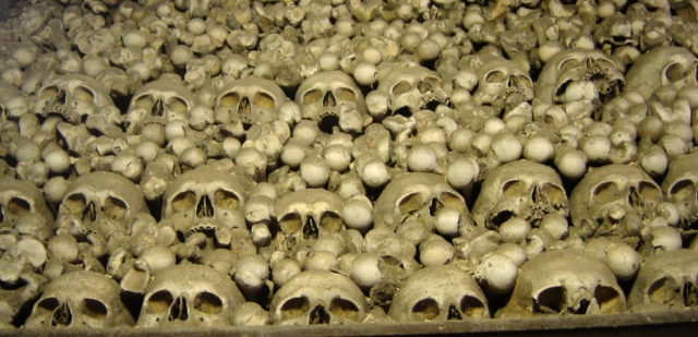  Human Skeletons Source: Henry Burrows/Flickr