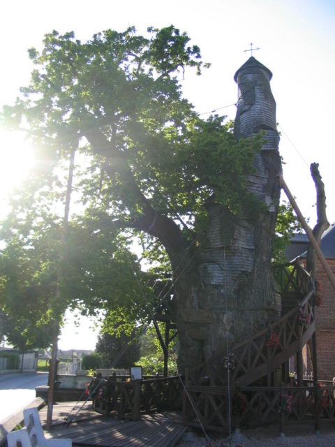 Oak Tree Chapel Source