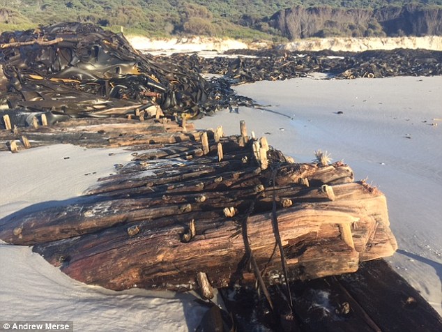 Wreckage of the Viola, a ship which was forced ashore during strong winds in 1857.Source Andrew Merse