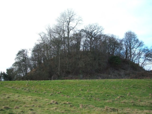 Anglo Saxon Motte