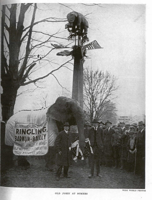 Old John laying a wreath at the monument to Old Bet in Somers, New York. PD-US, https://en.wikipedia.org/w/index.php?curid=11916406