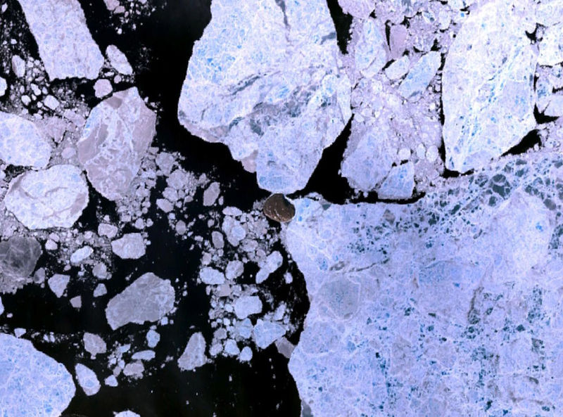 Hans Island. NASA Landsat 7 image. Source: commons.wikimedia.org
