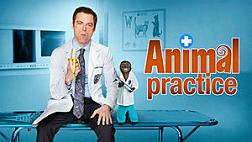 Animal Practice -Promotional image. Source