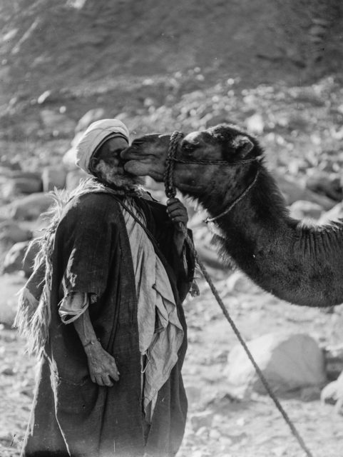 bedouin-man-with-a-camel