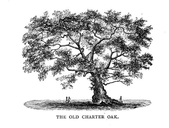 The Old Charter Oak Source:Wikipedia/public domain