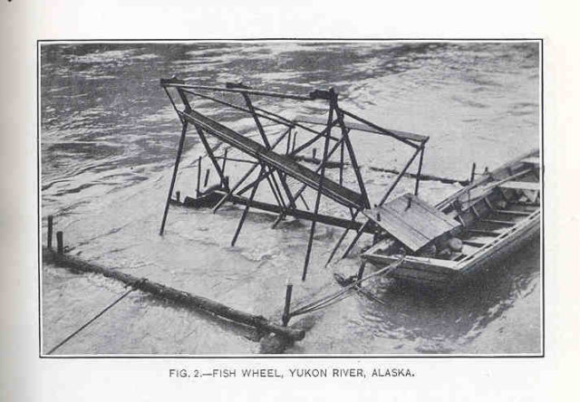 Fish Wheel, Yukon River, Alaska 1917. Wikipedia Public Domain