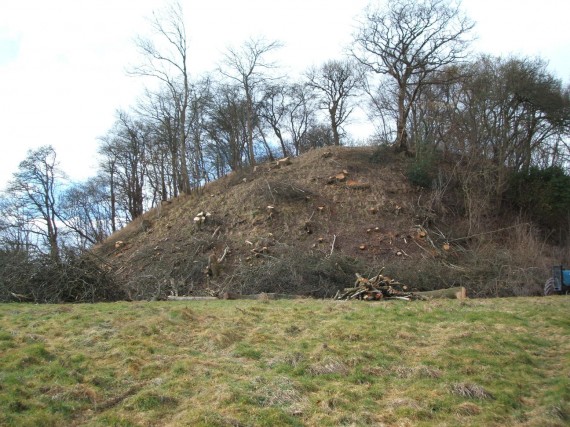 The historic remains of Ewyas Harold Castle with Anglo -Saxon motte and bailey.