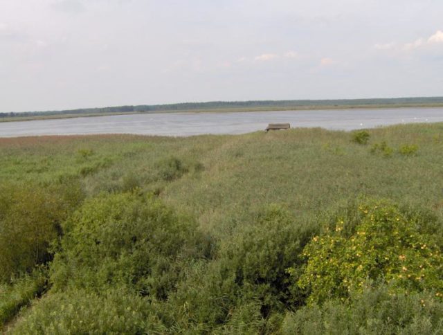  lake Świdwie Source:By Soczewa at the Polish language Wikipedia, CC BY-SA 3.0, 