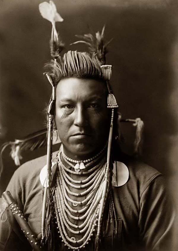 Photograph of Crow Indian Swallow Bird by Edward S. Curtis, 1908. Note: Crow style pompadour and beaded hair pipes.