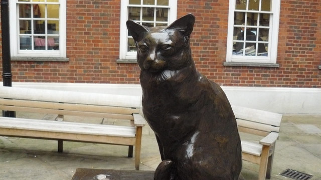The poet Percival Stockdale wrote An elegy on the Death of Dr Johnson's Favourite Cat. Image by- Julie Mac. Flickr.CC BY 2.0