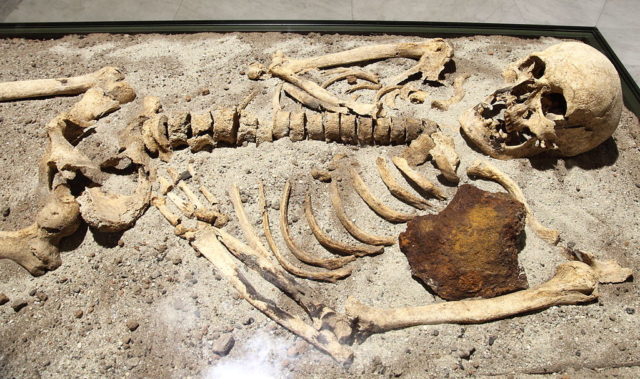 The 800-year-old skeleton found in Bulgaria stabbed through the chest with iron rod. Photo credit