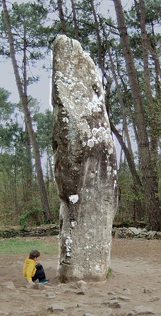 The Manio "Giant". Near the quadrilateral is a single massive menhir, now known as the "Giant". Over 6.5 m (21 ft) tall, it was re-erected around 1900 by Zacharie Le Rouzic, and overlooks the nearby Kerlescan alignment.