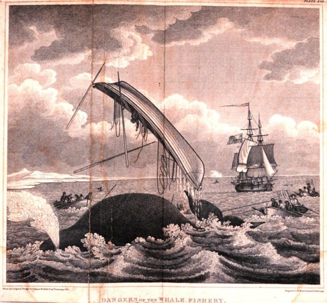 Danger whaling. Picture of 1820