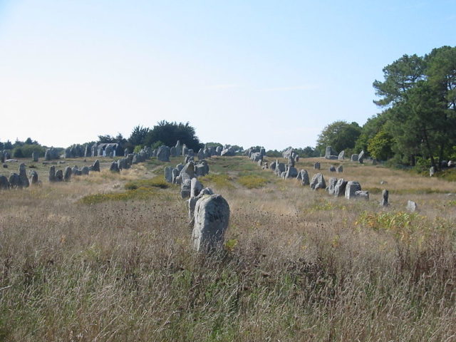 Stones in the Kermario alignment