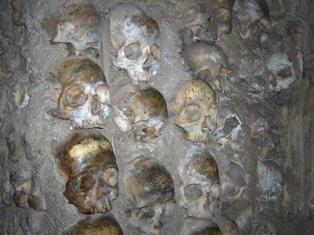close-up-with-skulls