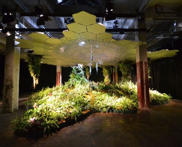 James Ramsey, a former NASA engineer, envisions having 3,500 different varieties of plants in the actual Lowline. Photo Credit