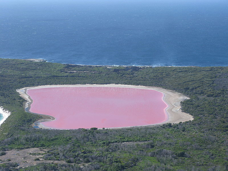 The Lake Hillier, Middle Island, Recherche Archipelago Nature Reserve, in Western Australia, is a saline lake notable for its pink color, April 2011. Photo Credit