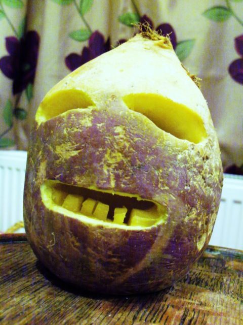 Modern carving of a Cornish Jack-o'-Lantern made from a turnip. Photo credit