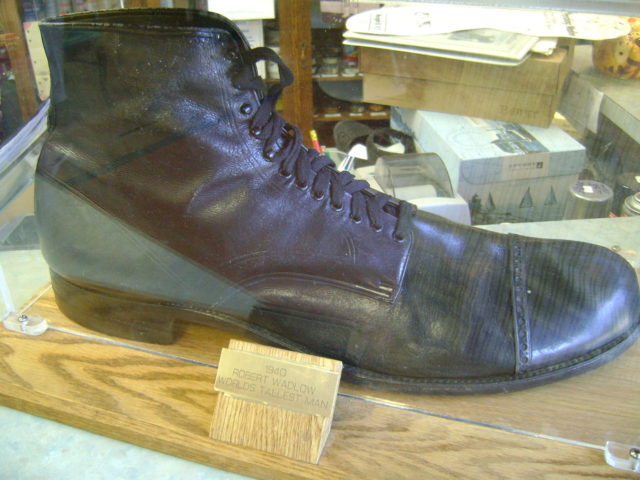 Wadlow's shoe, size 37 AA(US, size).Photo Credit