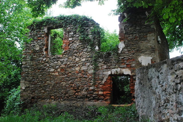  Ruin in Döllersheim in Lower Austria