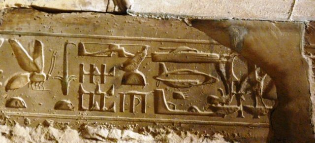 The hieroglyphs in Temple of Seti I.