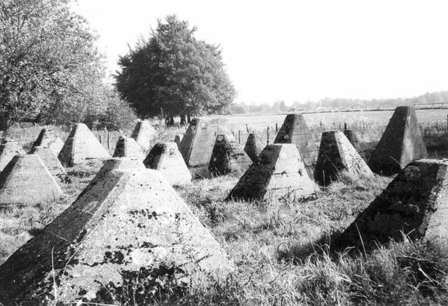 Dragon's teeth near Aachen, Germany, part of the Siegfried Line. Photo Credit