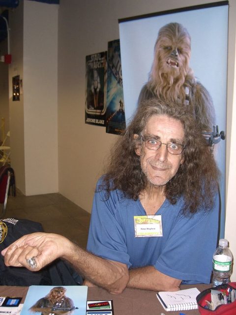 Peter Mayhew sitting in front of an image of his most famous role as Chewbacca. Photo Credit