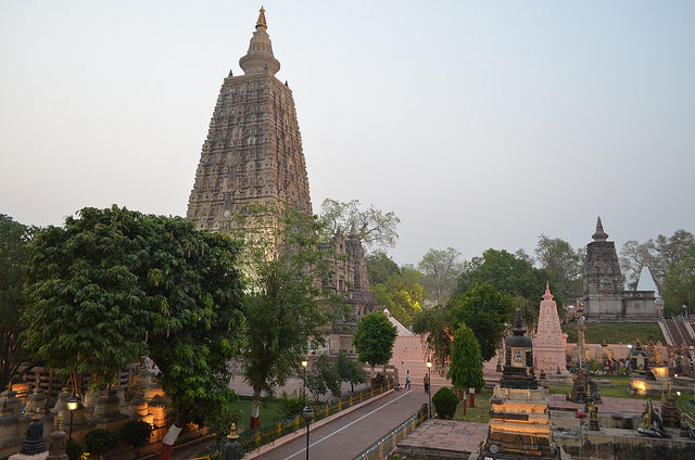 The Bodhi tree at Bodhgaya is directly connected to the life of the historical Buddha. Photo Credit