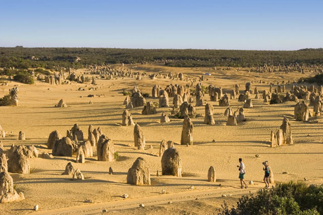 The Pinnacles remained unknown to most Australians until 1967. Photo Credit