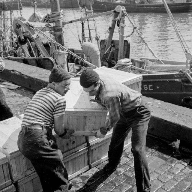 Dock stevedores packing and icing fish at the Fulton fish market Photo Credit