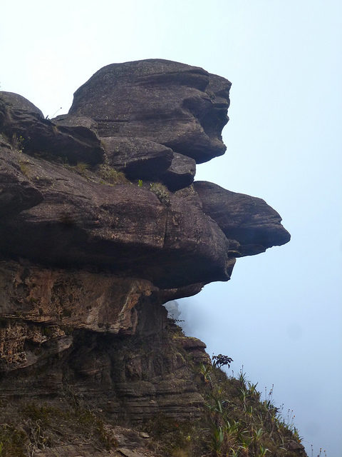 Rock formation on Mount roraima. Photo Credit