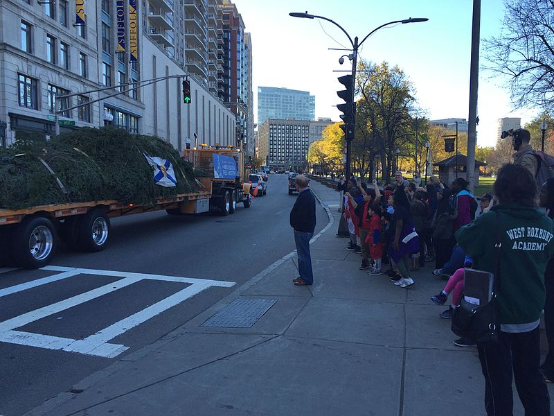 School children from the Mather Elementary School wave to the tree from Tremont Street on the Boston Common. Photo Credit