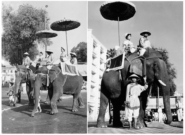 Trưng Sisters, national heroines of Viet Nam are honored with a parade of elephants and floats in Saigon, 1961. Photo Credit