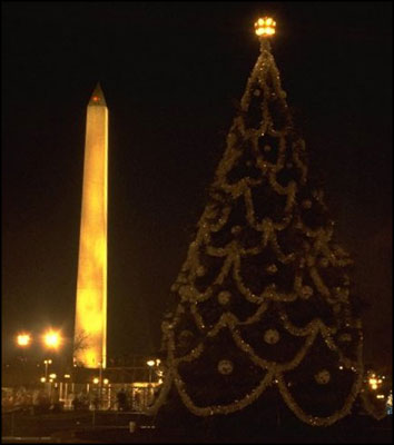 The Washington Monument glows behind the yet-to-be-lit 1979 U.S. National Christmas Tree