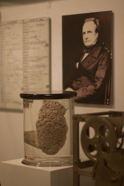 Charles Babbage's brain is on display at The Science Museum. Photo Credit