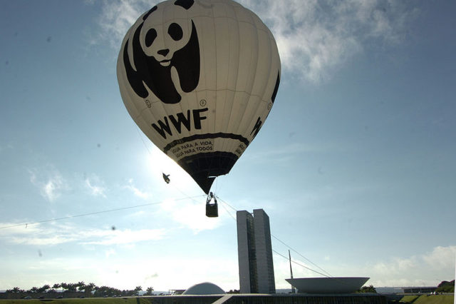 The WWF hot air balloon in Brazil Photo Credit