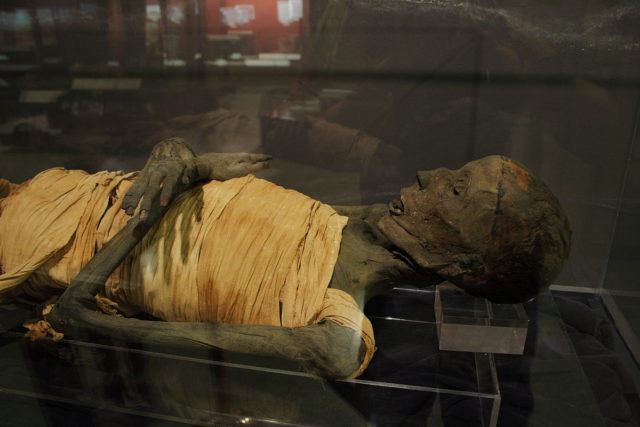 Side view of the mummy. Photo Credit
