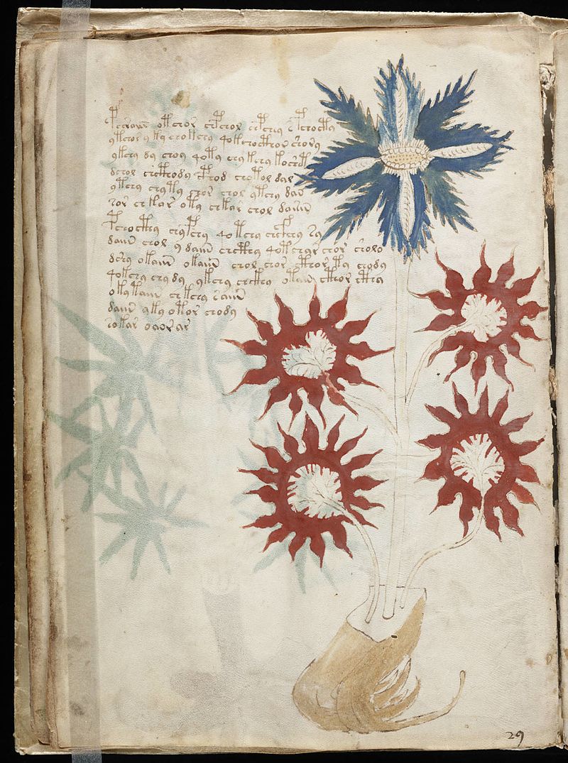 A page from the mysterious Voynich manuscript, which is undeciphered to this day