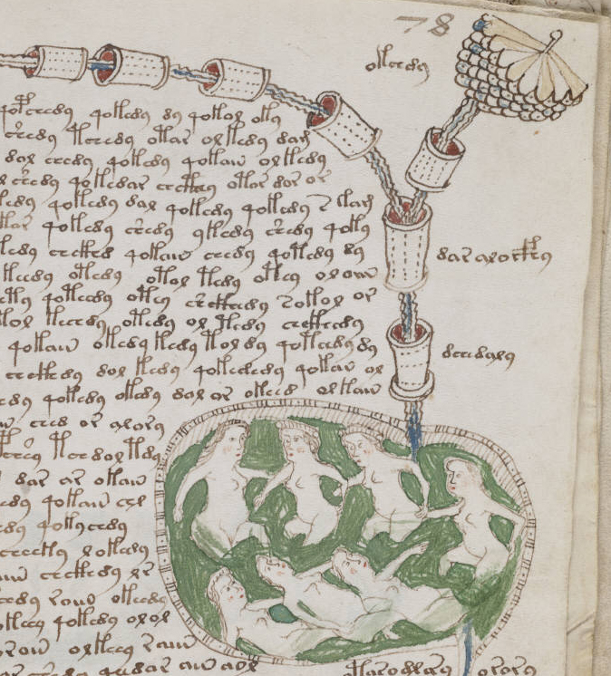 A detail from the “biological” section of the manuscript