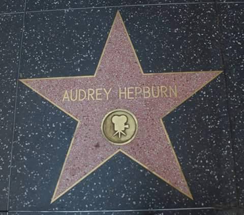 Audrey Hepburn’s Star on Hollywood Walk of Fame. Author: Riverarvi  CC BY-SA 4.0