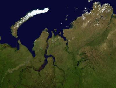 Satellite image of the Gulf of Ob