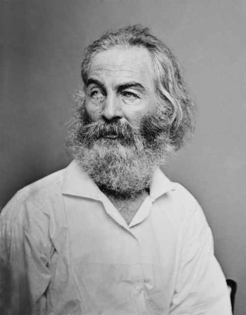 Walt Whitman as photographed by Mathew Brady.