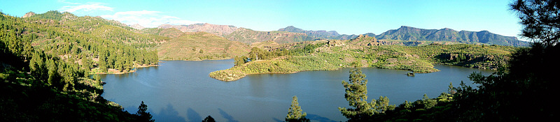 A freshwater ecosystem in Gran Canaria, an island of the Canary Islands   Photo Credit