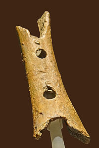 Prehistorical flute from Divje Babe archeological site, Slovenia. Held by Slovenian National Museum, Ljubljana. Photo Credit