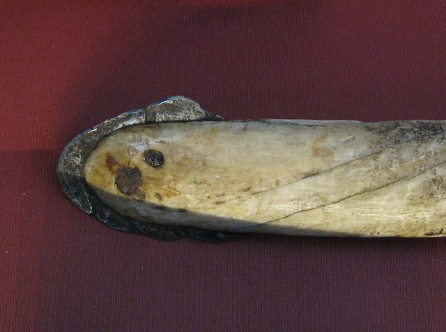 The head of a lance made from a Narwhal tusk with a meteorite iron blade
