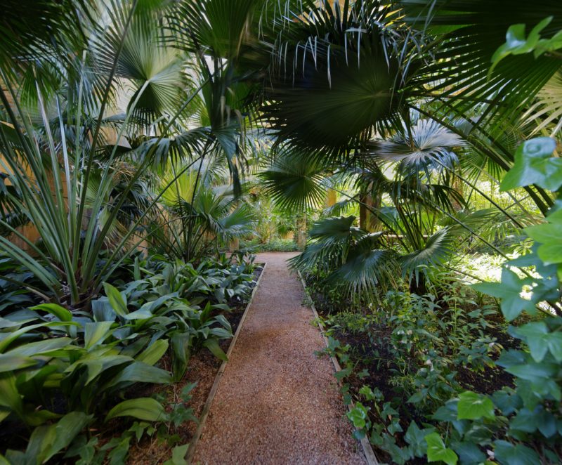 The site, widely covered with grass, is bordered by groups of eucalyptus, palms, olive and prune tree, mimosas, and climbing plants that wrap the exposed concrete walls  Photo Credit