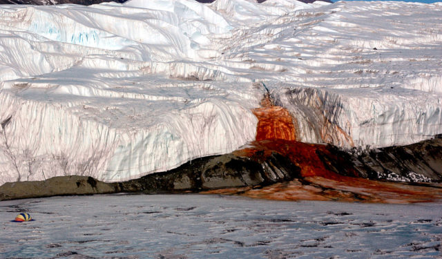 Blood Falls seeps from the end of the Taylor Glacier into Lake Bonney.